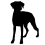 Dobrman_var02