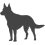 Australská kelpie_var01
