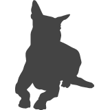 Belgický ovčák - Malinois_var02