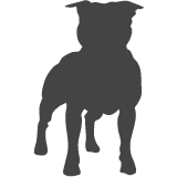 Stafordšírský bullteriér_var03