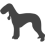 Bedlington teriér_var01