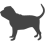 Bloodhound_var01