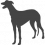 Anglický chrt - Greyhound_var01