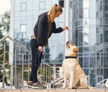 Žaneta a labrador Artur