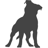 Stafordšírský bullteriér_var02