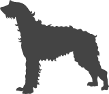 Irský vlkodav
