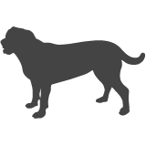 Entlebušský salašnický pes