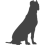 Argentinská doga_var02