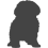 Shihtzu_var03