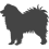 Samojed_var01
