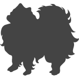 Pomeranian_var01