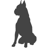 Boxer_var02