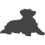Australský ovčák_var03