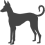Kanárský podenco_var01