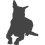 Belgický ovčák - Malinois_var02