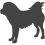 Tibetská doga_var01
