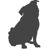 Mops_var02