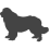 Novofundlandský pes_var01