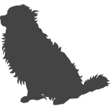 Bernský salašnický pes_var01