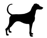 Dobrman_var01