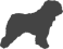 Bobtail_var01