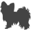 Malý kontinentální španěl - Papillon_var01