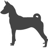 Basenji_var01