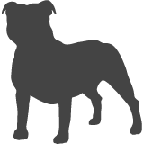 Stafordšírský bullteriér_var01