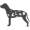 Louisianský leopardí pes_var01