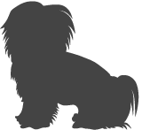 Maltézský psík_var02