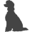 Pudl_var02