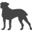 Italský corso pes - Cane corso_var01
