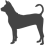 Thajský ridgeback_var01