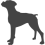 Boxer_var01