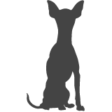 Pražský krysařík_var02