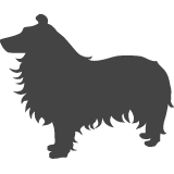 Sheltie_var01