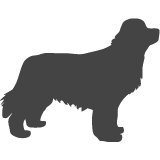 Landseer_var01