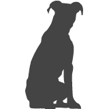 Pitbull_var02