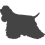 Americký kokršpaněl_var01