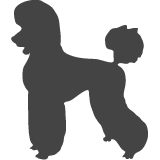 Pudl královský_var02