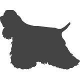 Americký kokršpaněl_var01