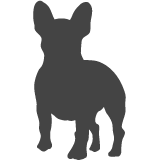 Francouzský buldoček_var01