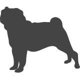 Mops_var01