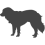 Pyrenejský horský pes_var01
