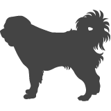 Kavkazský pastevecký pes_var01