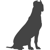 Argentinská doga_var02