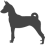 Basenji_var01