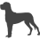 Německá doga_var01
