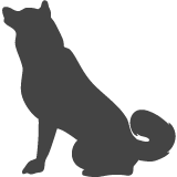 Akita inu_var02