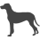 Maďarský ohař - Vizsla_var01